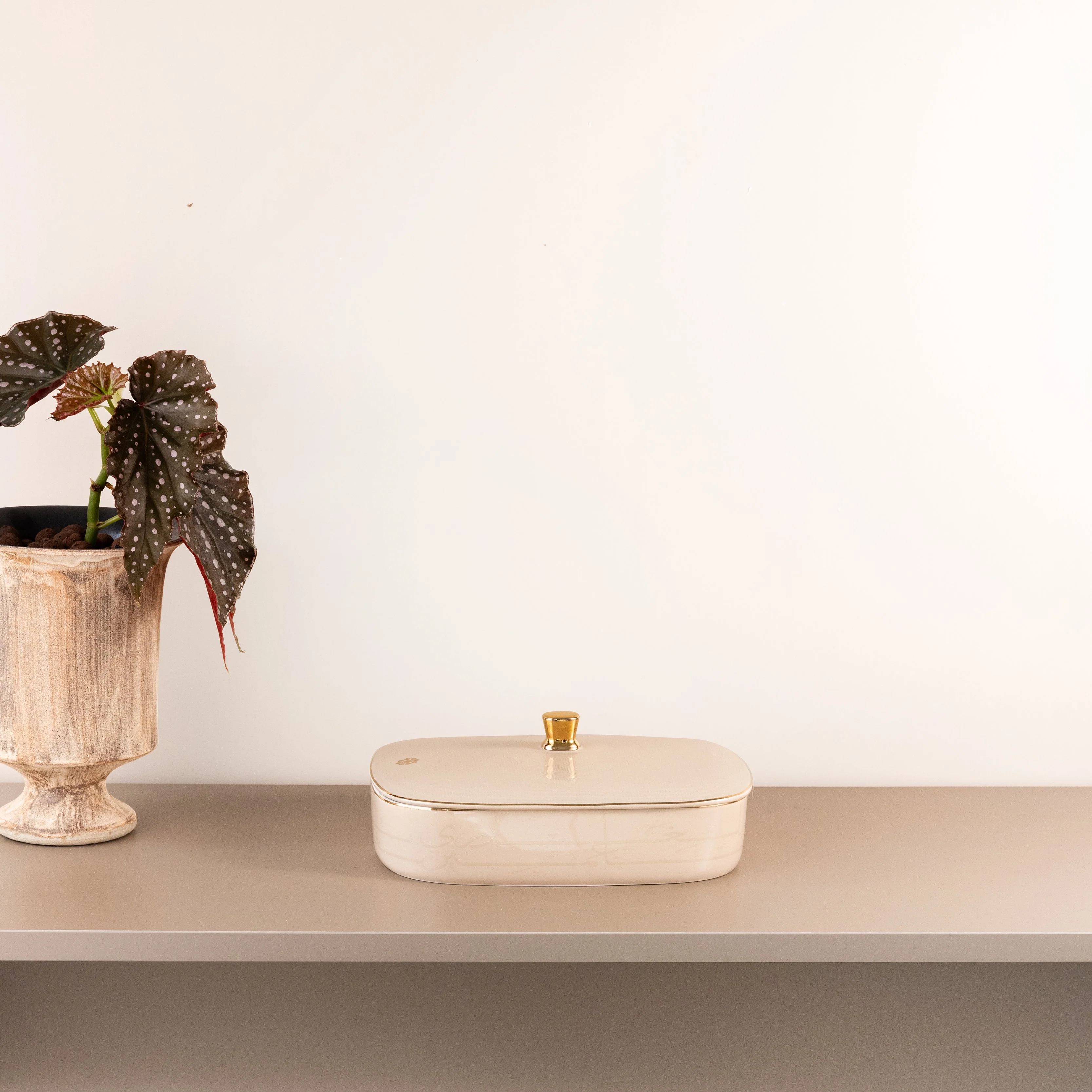 Mirral - Medium Decorative Canister - Beige & Gold