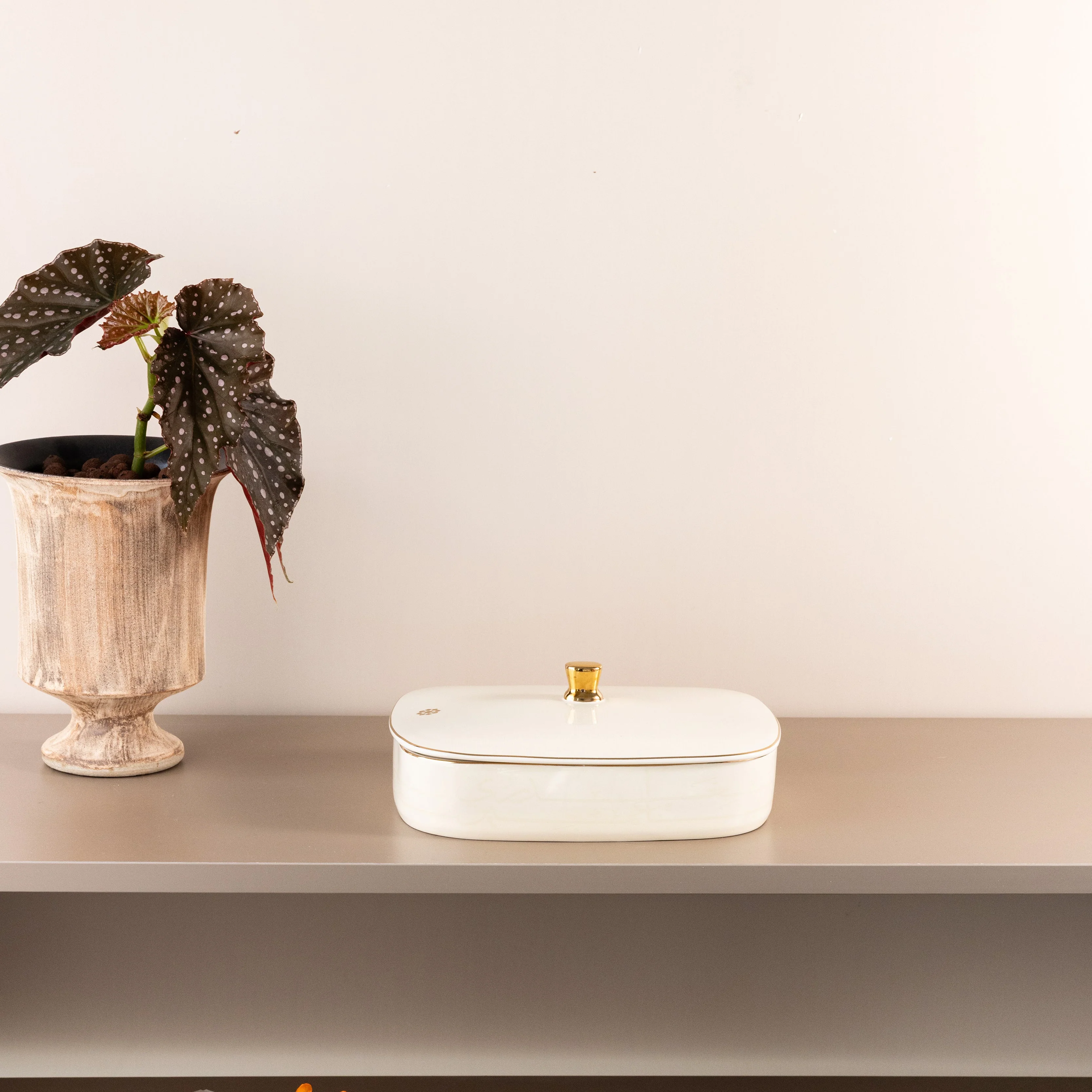 Mirral - Medium Decorative Canister - White & Gold